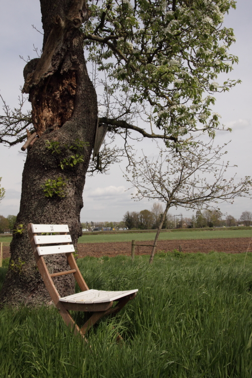 Blog mei 2015-2