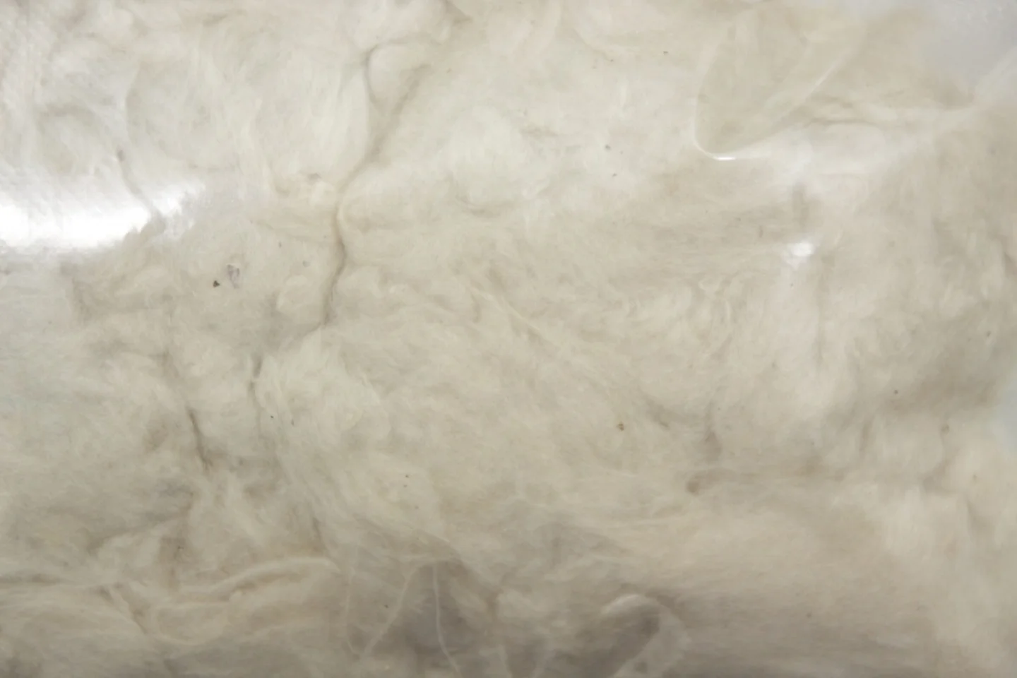 Kapok-natuurlijk vulmateriaal-50 gram-vu.