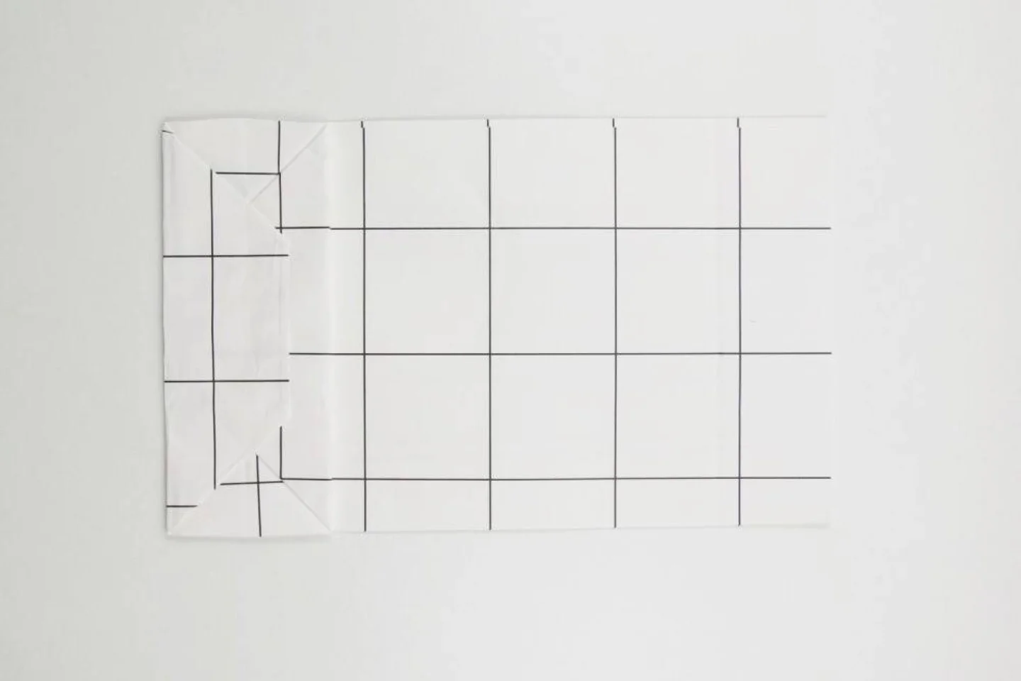 blokbodemzakje grid monochrome zwart wit.