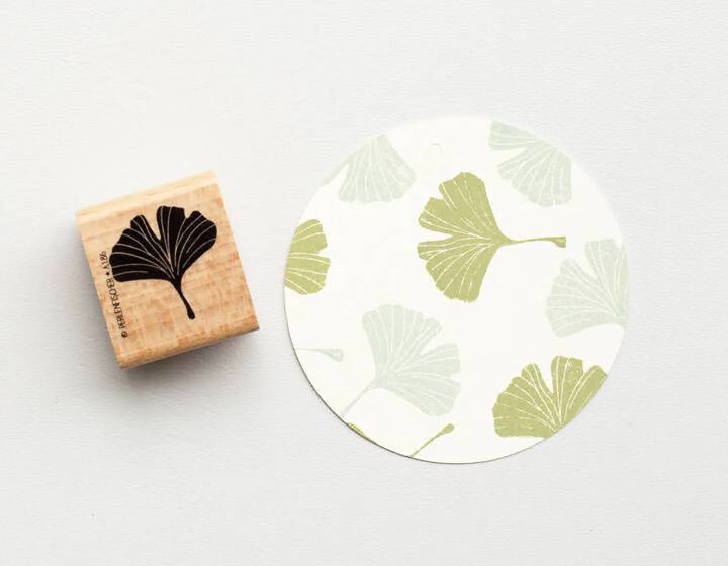 stempel hout- ginkgo - ginko-botanisch.