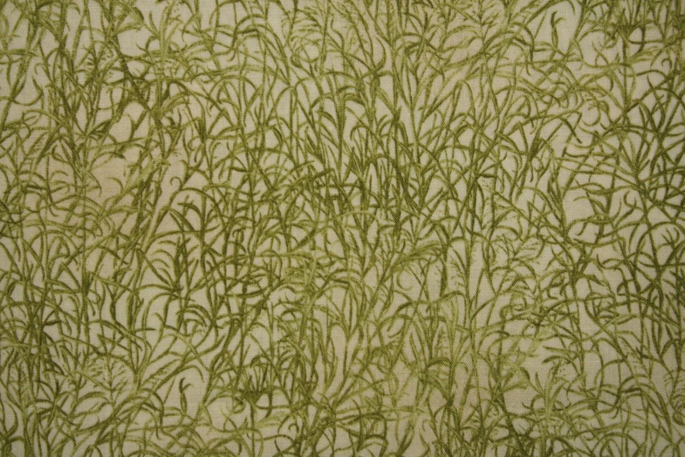 lichtgroen-gras-Southsea Imports-Carolyn