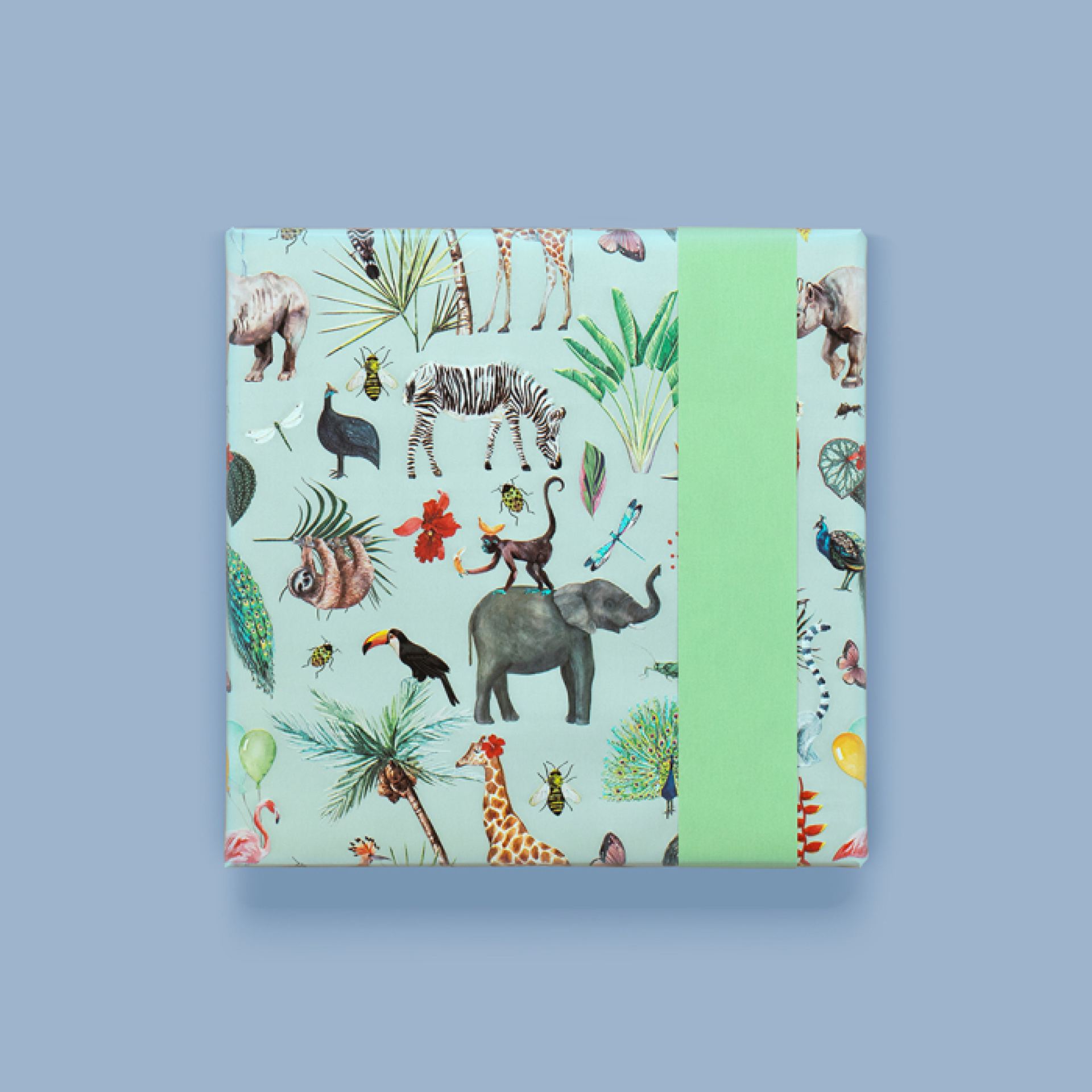 HOP jungle 2