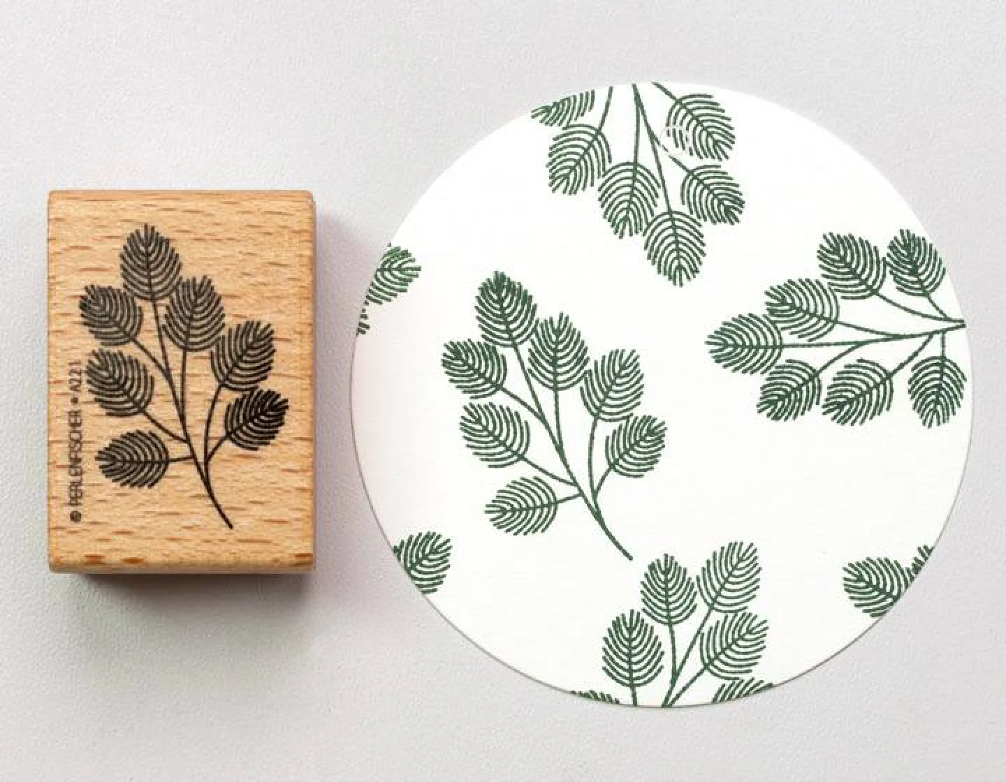 stempel hout natuur dennentak tak blader.