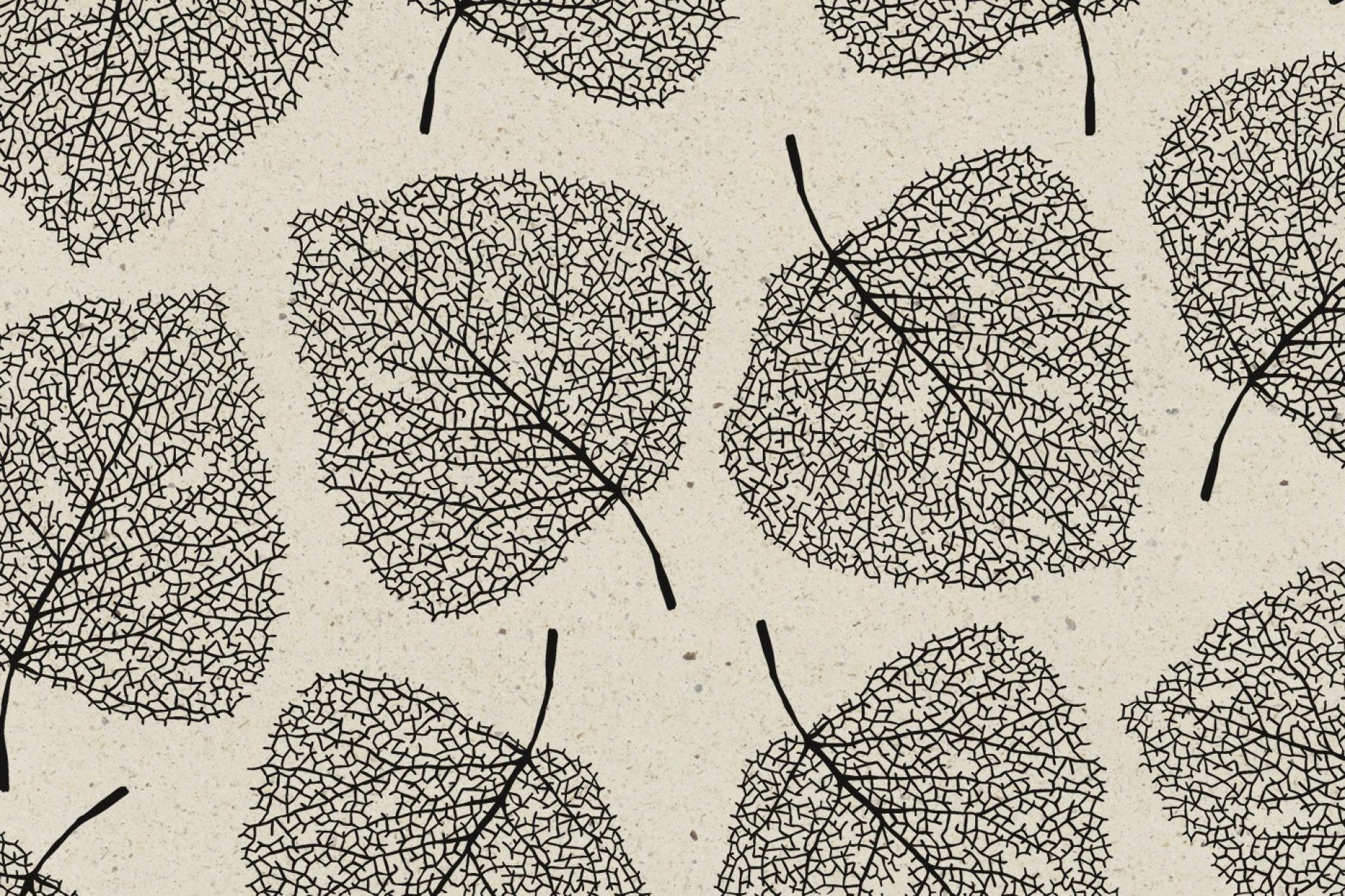 CW_NJ23_Skeleton-Leaves_graszwart3