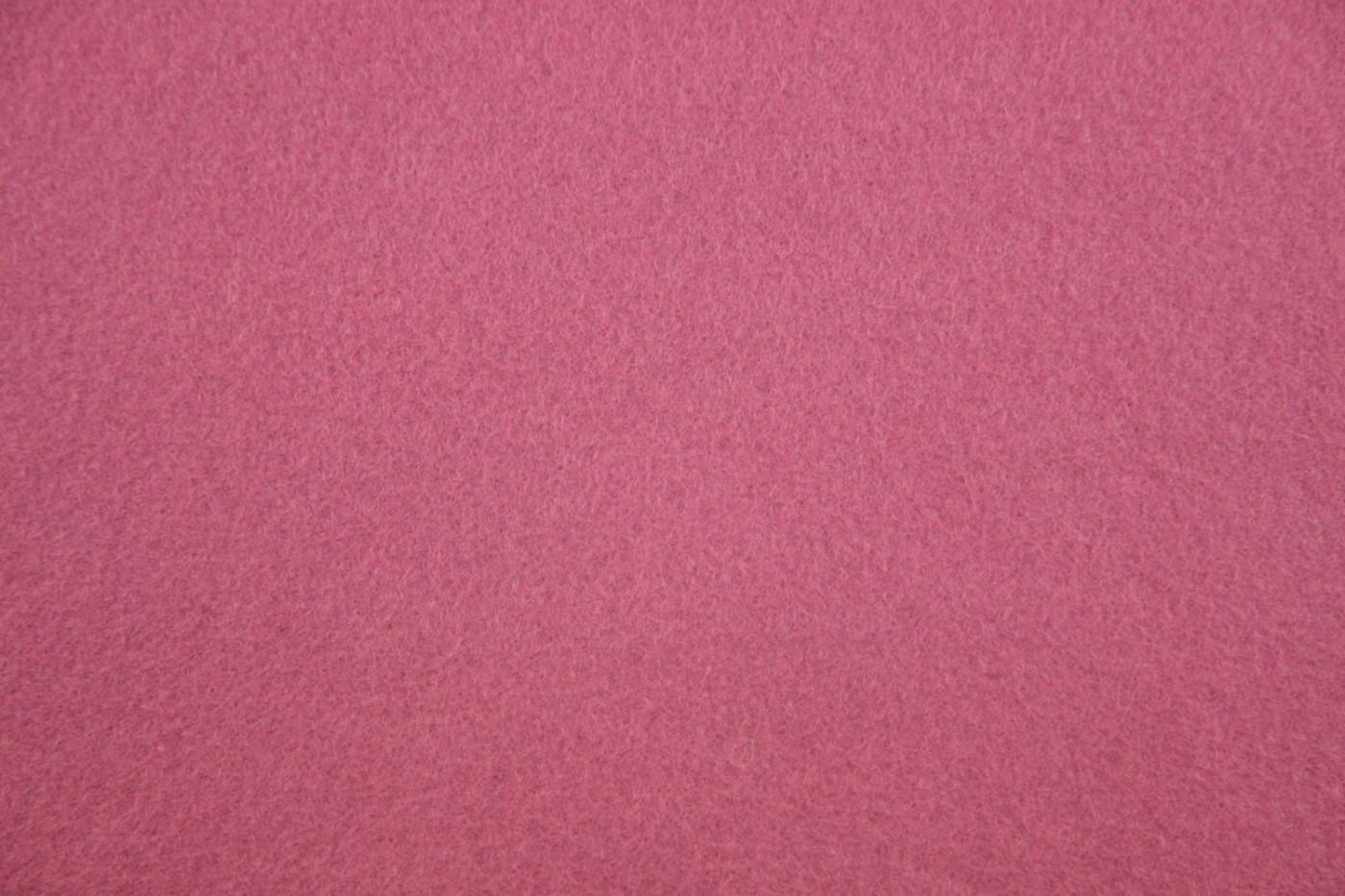 wolvilt Engels roze-Rose Anglais-017