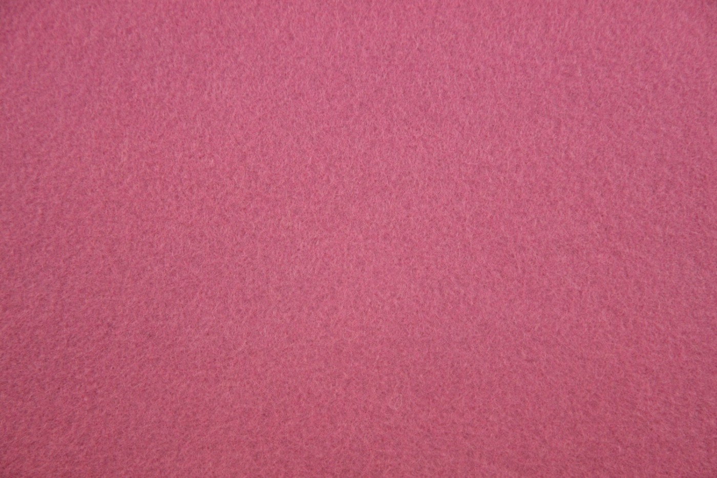 wolvilt Engels roze-Rose Anglais-017